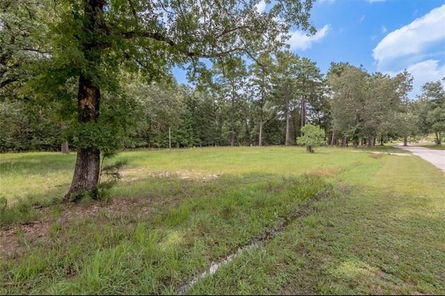 Listing photo 2 for LOT33 Peach Point Ln, Trinity TX 75862