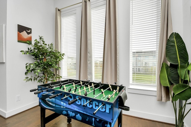 recreation room with hardwood / wood-style floors