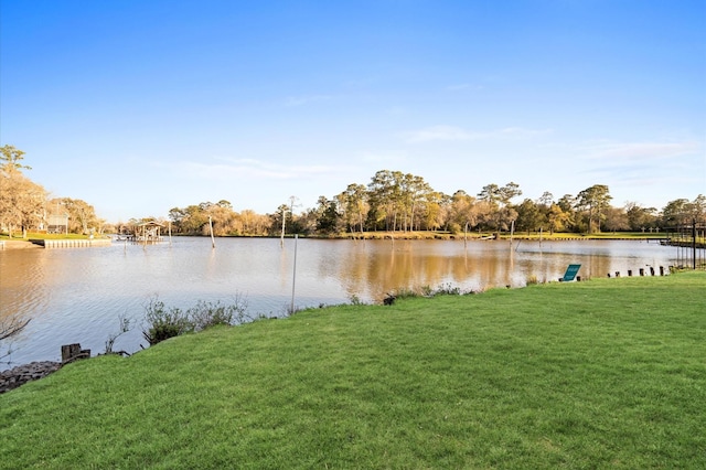 property view of water