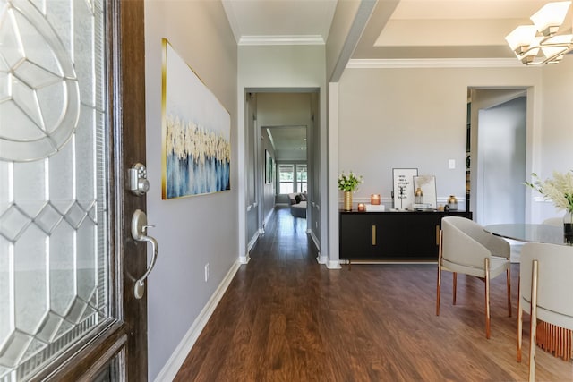 foyer with an inviting chandelier, ornamental molding, and dark hardwood / wood-style floors