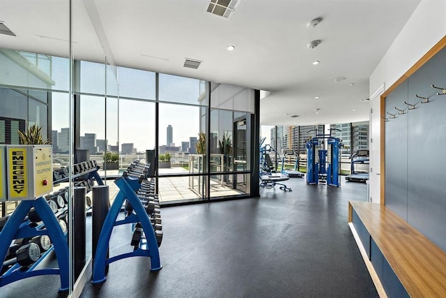 workout area with floor to ceiling windows and a wealth of natural light