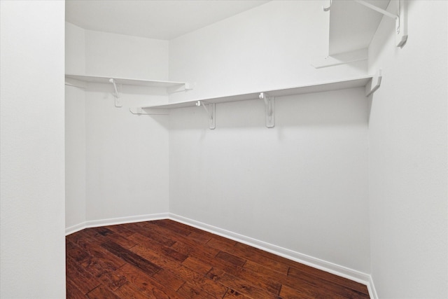 walk in closet featuring wood-type flooring