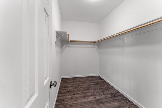 spacious closet featuring dark hardwood / wood-style floors