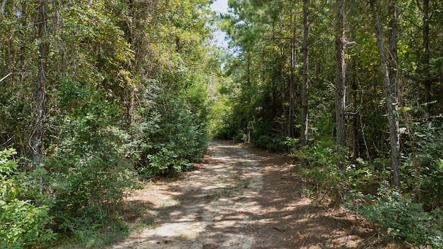 view of road