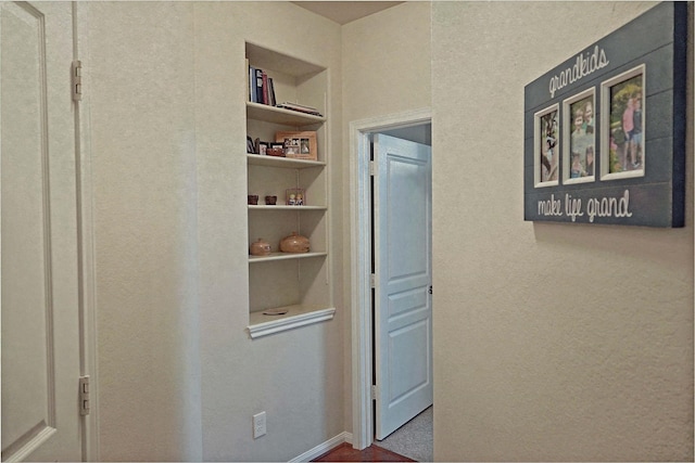 hallway with built in features