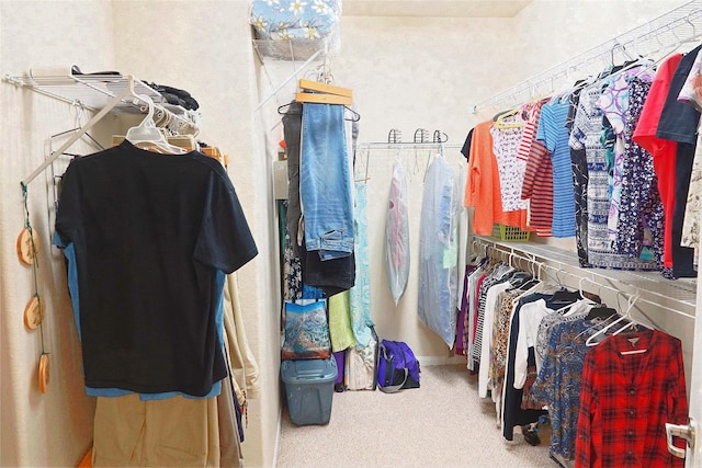 spacious closet with carpet floors