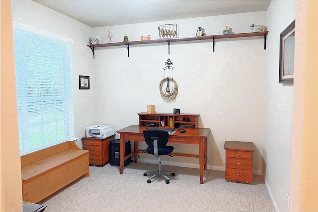 carpeted home office with a wealth of natural light