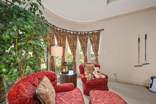 living area with carpet floors and ornamental molding