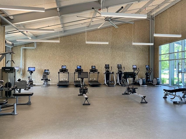 workout area with a towering ceiling