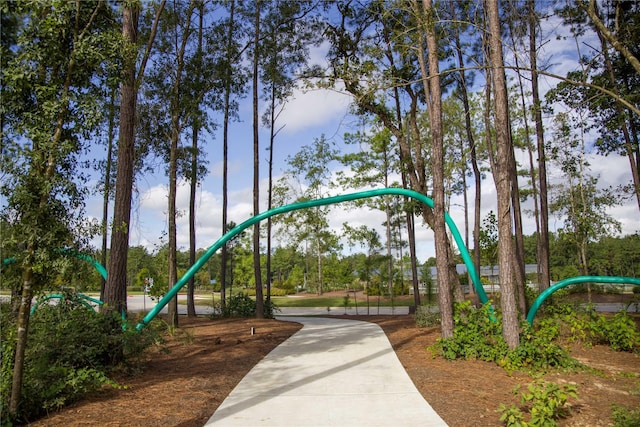 17007 Sweet Iris Ct, Conroe, TX 77302 - view of property's community