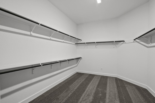 17007 Sweet Iris Ct, Conroe, TX 77302 - walk in closet with dark colored carpet