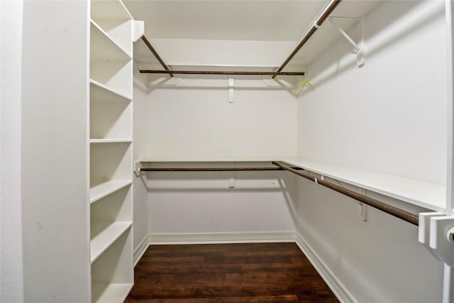 walk in closet featuring dark wood-type flooring