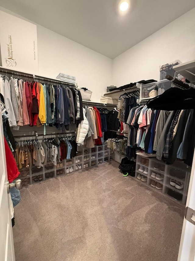 spacious closet featuring carpet flooring