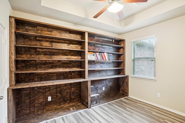 interior space featuring hardwood / wood-style floors, ceiling fan, and a raised ceiling