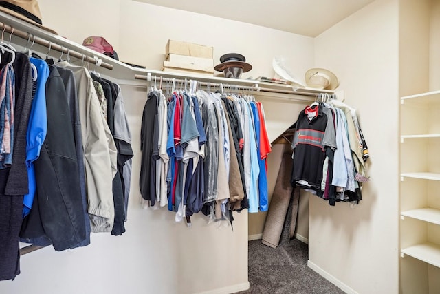 spacious closet with carpet