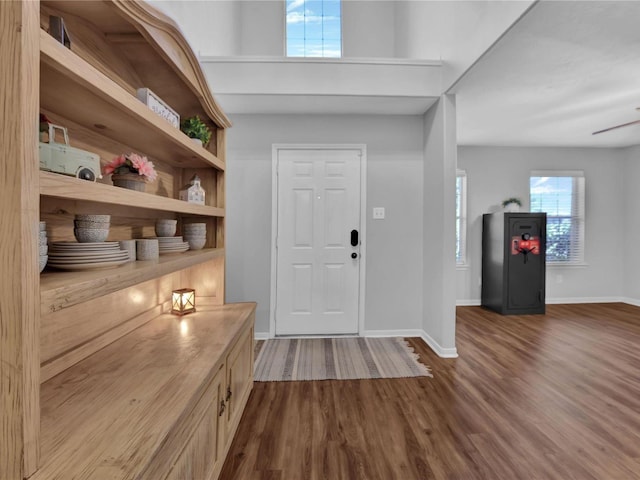 foyer entrance featuring ceiling fan and wood-type flooring