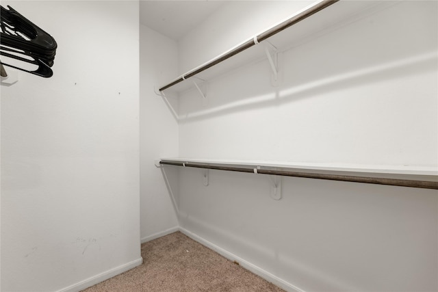 walk in closet with light carpet