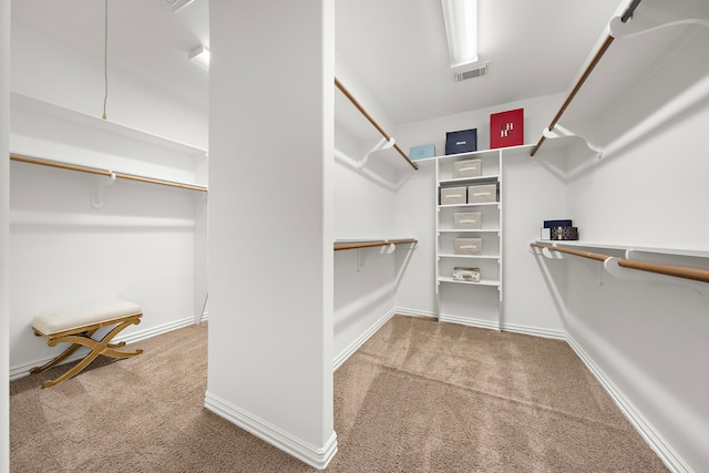 walk in closet featuring carpet