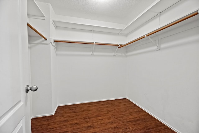 spacious closet featuring dark wood-type flooring