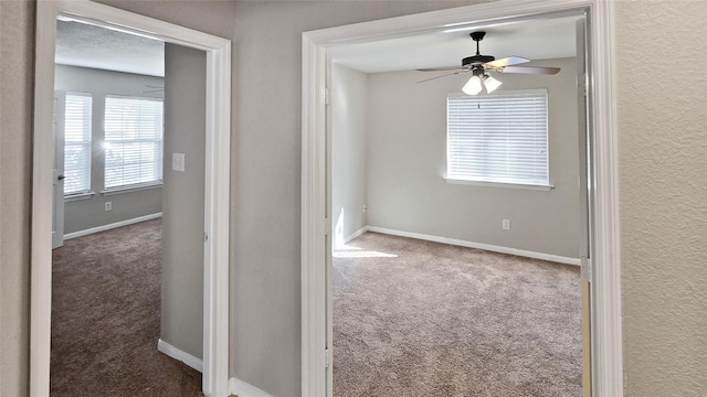 hallway featuring carpet flooring