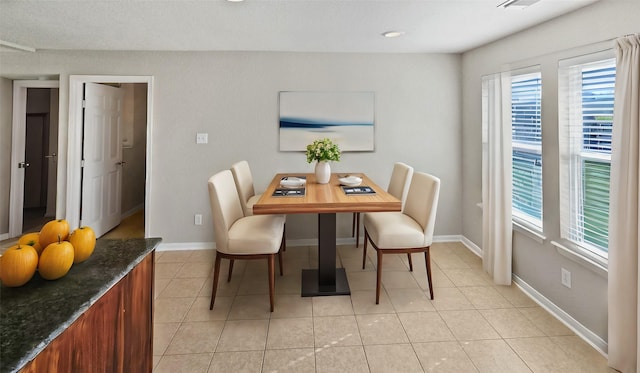 tiled dining area featuring a wealth of natural light