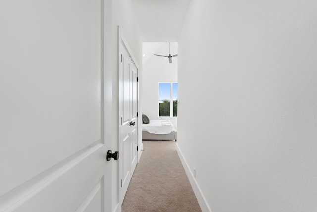 corridor featuring light colored carpet