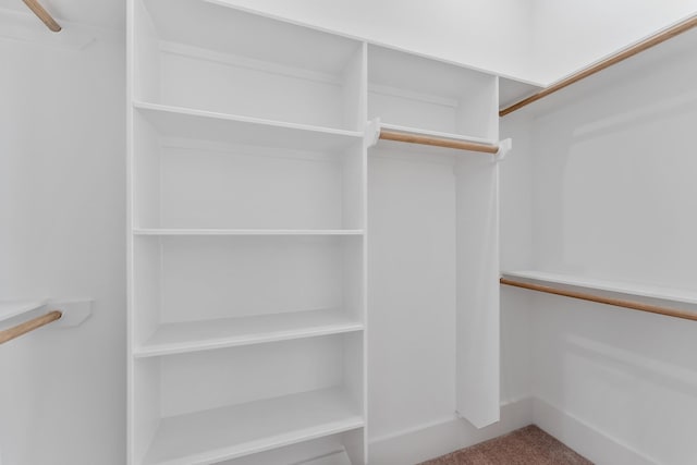 spacious closet with carpet