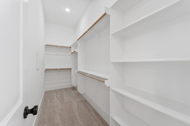 walk in closet with light colored carpet