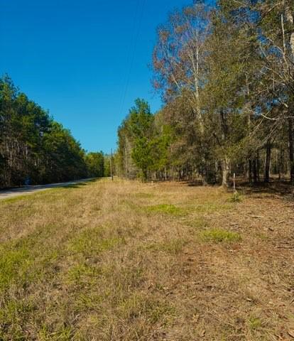 Listing photo 3 for 7741 Timber Switch Rd, Cleveland TX 77328