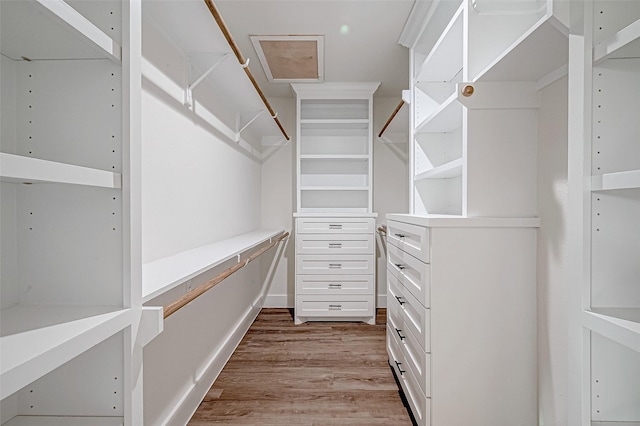 walk in closet featuring wood-type flooring