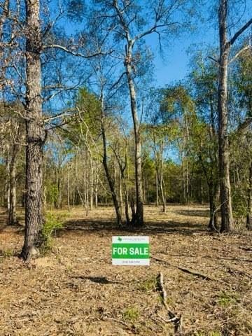 7717 Timber Switch Rd, Cleveland, TX 77328 - photo 4