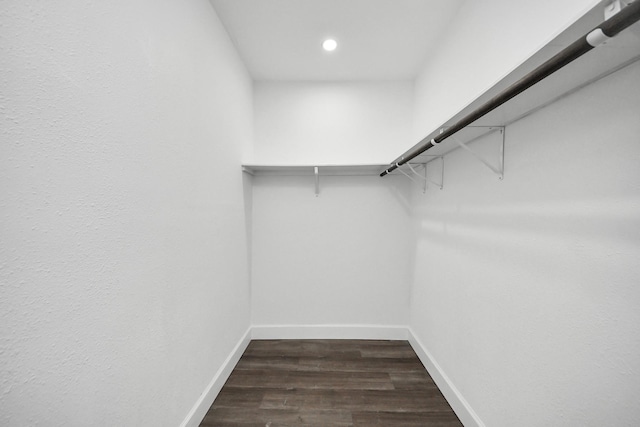 walk in closet featuring dark hardwood / wood-style floors