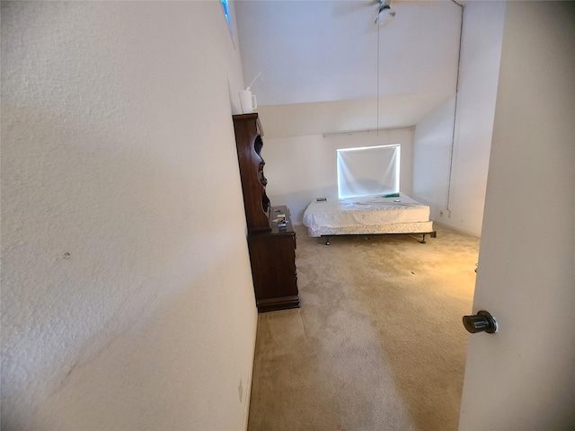 bedroom with carpet floors