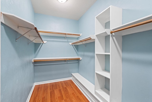 spacious closet featuring wood-type flooring