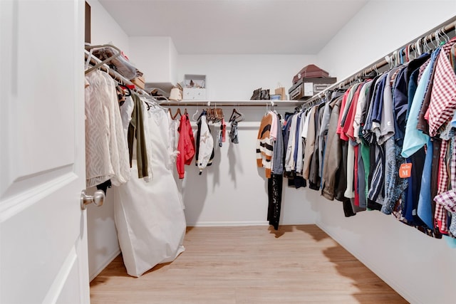 spacious closet with light hardwood / wood-style flooring