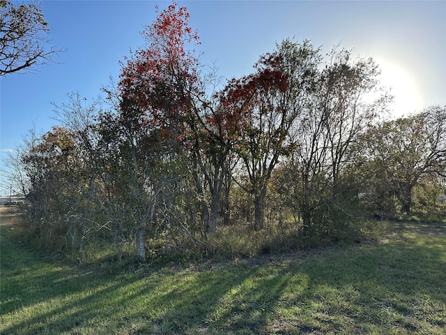 Listing photo 3 for 000 Henderson Ave, Palacios TX 77465