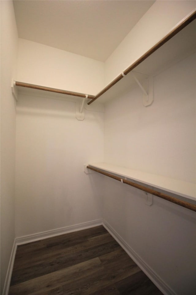 spacious closet featuring dark wood-type flooring