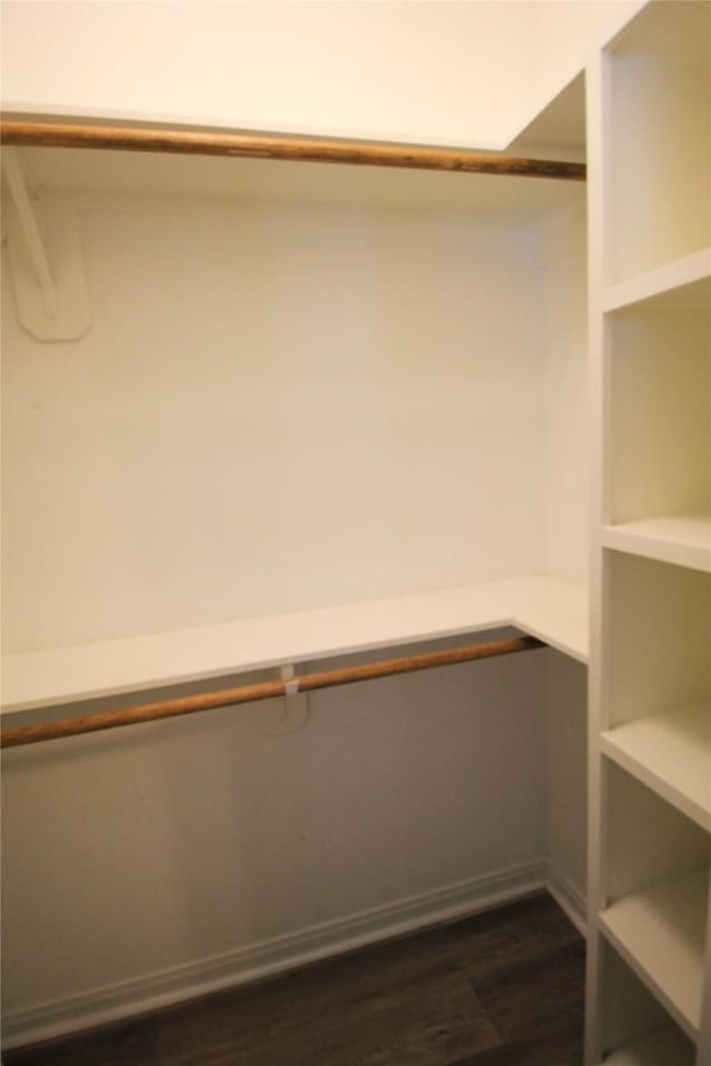 spacious closet featuring dark hardwood / wood-style floors