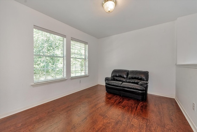 sitting room featuring dark wood-type flooring