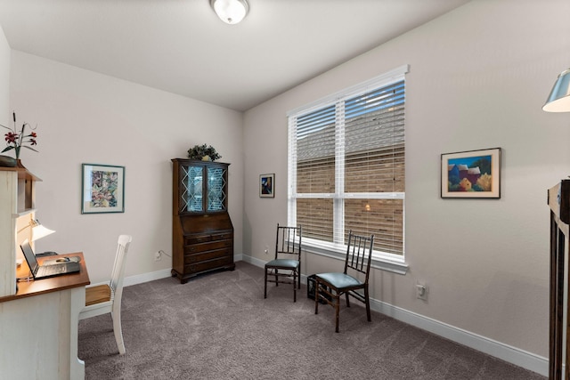 office area featuring carpet