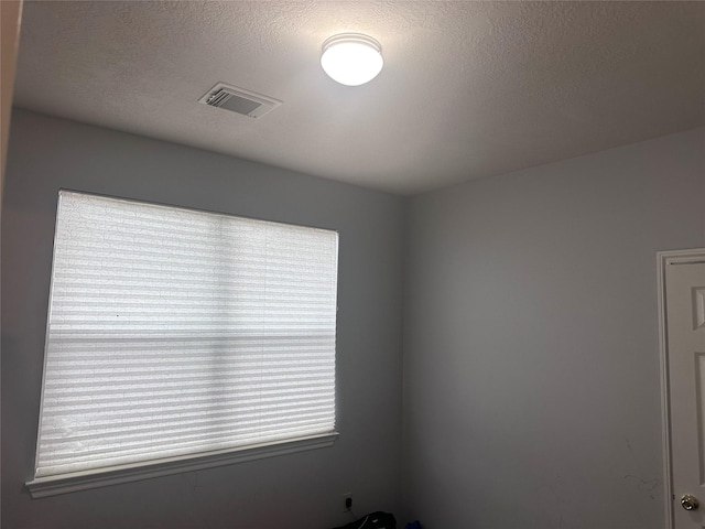 spare room featuring a wealth of natural light and a textured ceiling