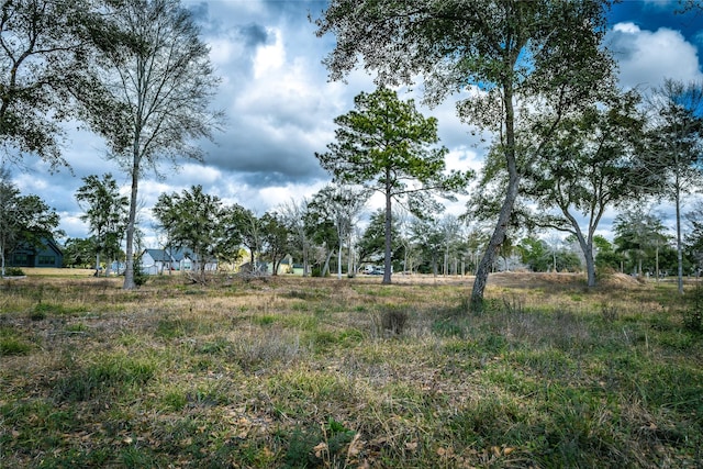 3680 County Road 326, Alvin TX, 77511 land for sale