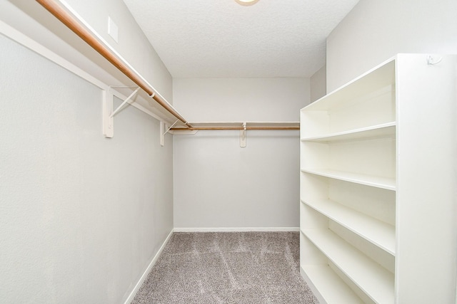 spacious closet with carpet flooring