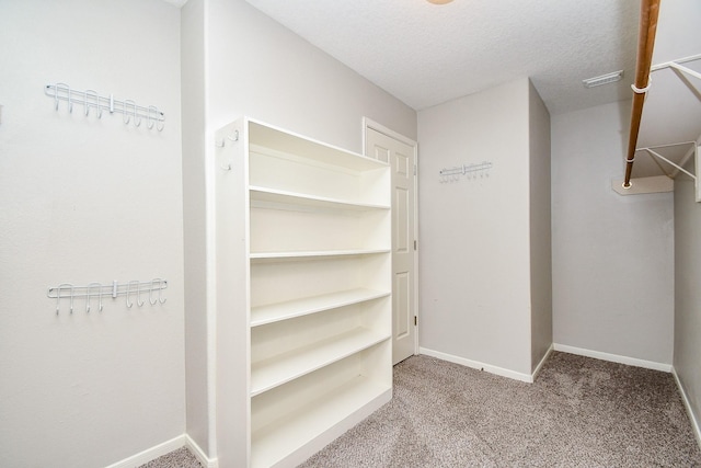 walk in closet with light colored carpet