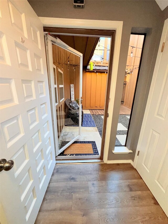 entryway featuring wood-type flooring