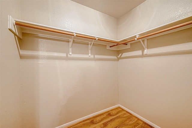 walk in closet with wood-type flooring