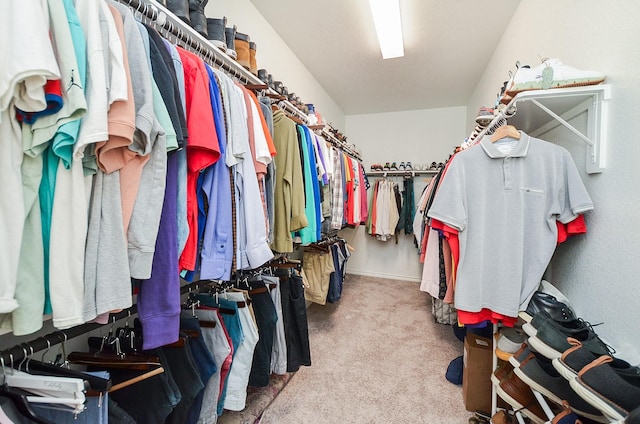 spacious closet featuring light colored carpet