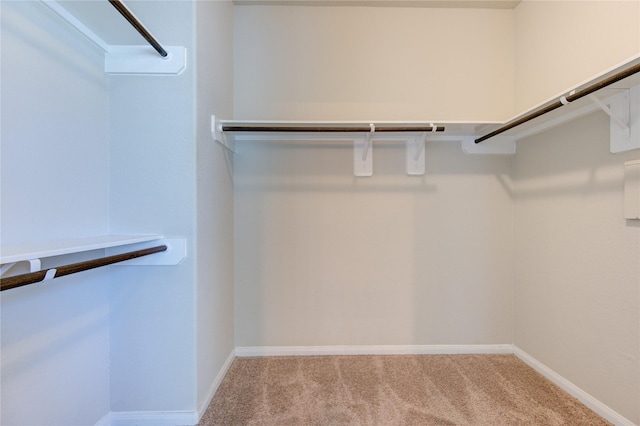 spacious closet with light carpet