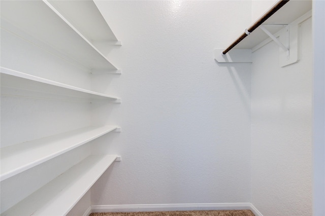 walk in closet featuring carpet