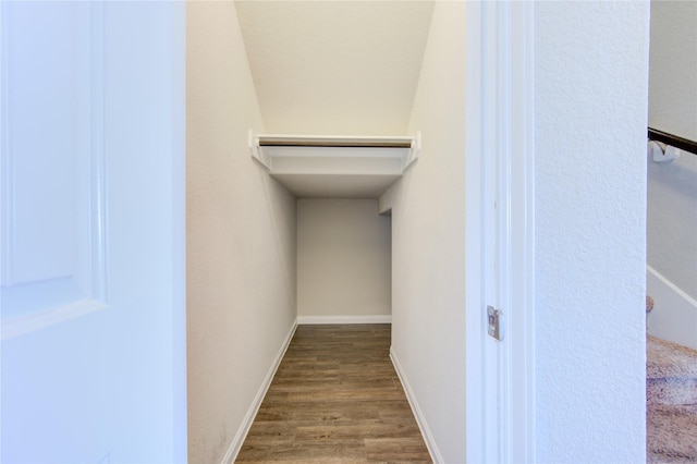 spacious closet featuring dark wood-type flooring